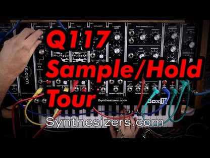 Q117 Sample and Hold