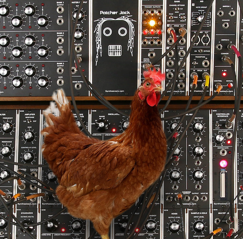 chickensynth_800.jpg